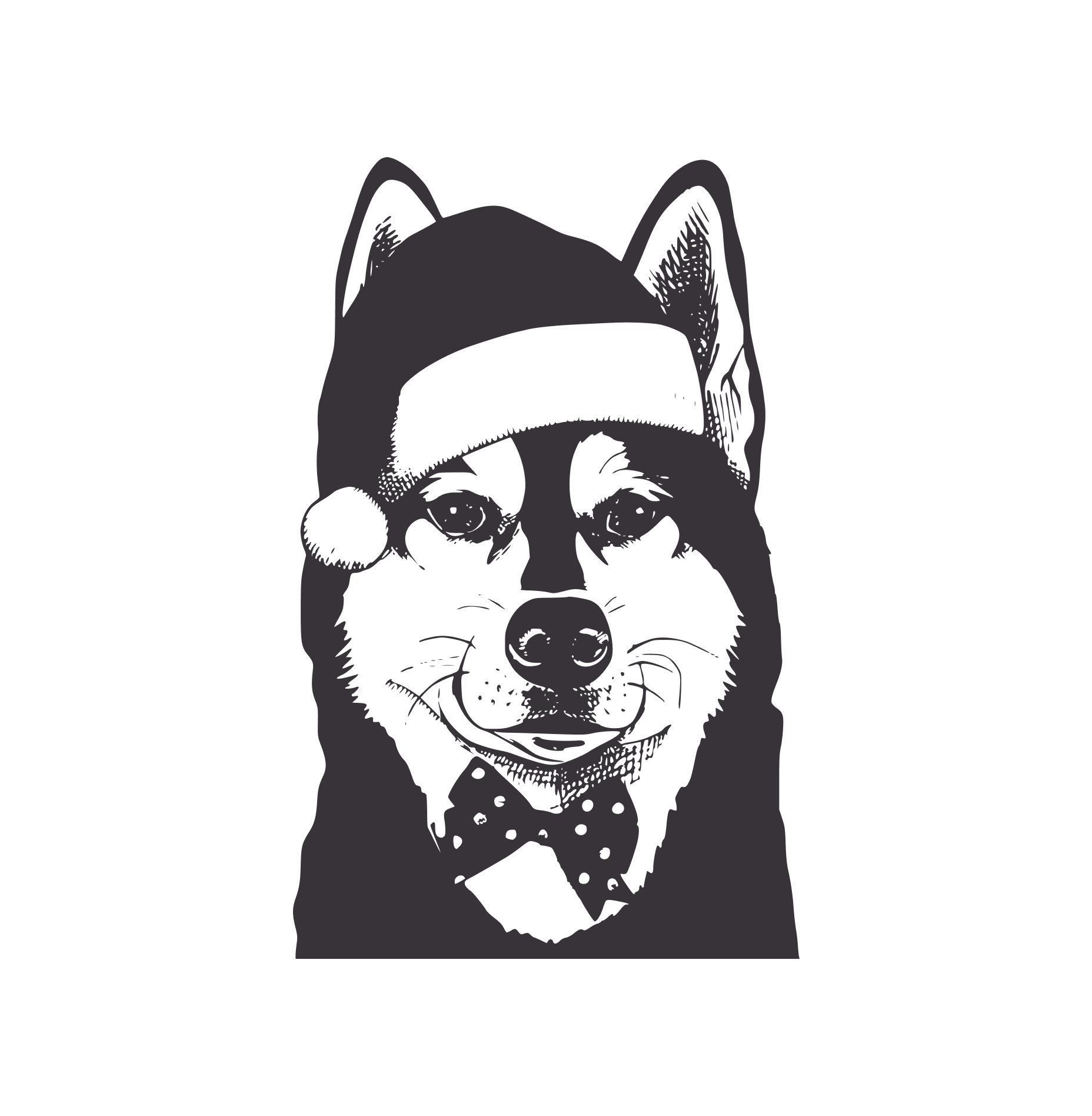 Husky Christmas by Anmol Bhatt
